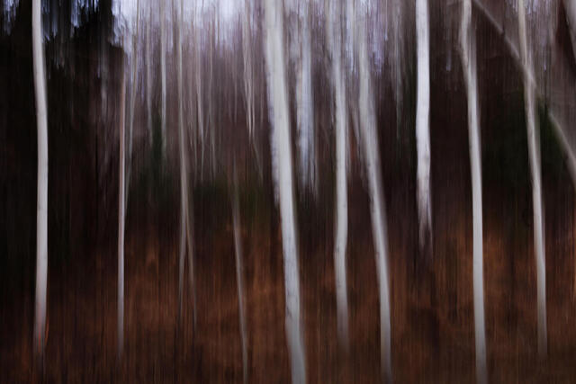 Abstract Nature Details