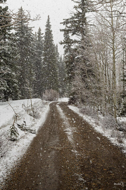 Snowy winter scene with a mountain dirt road.