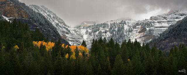 Winter and fall colors with a mountain above.
