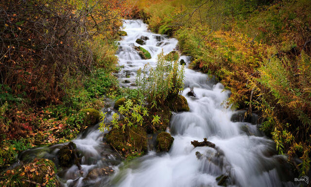 Cascade Springs in Provo Utah.