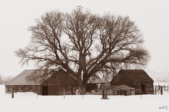 Old rustic barn in Idaho.