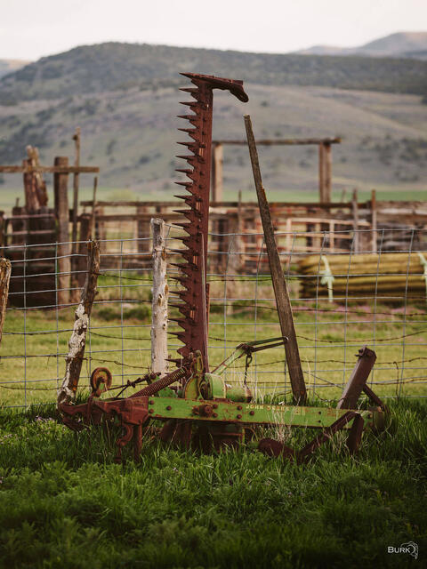 A old sickle bar mower—a piece of farm equipment used for cutting grass, hay, or small crops.
