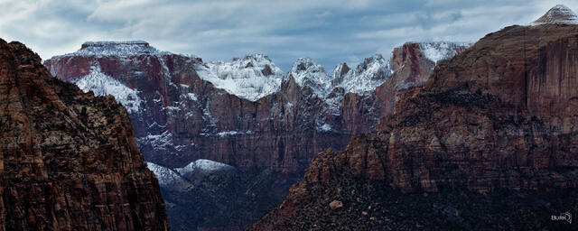Winter in Zion National Park. 