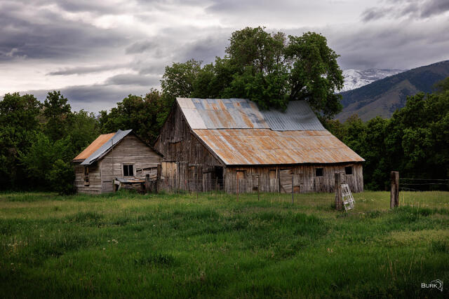 Rustic weathered barn with a rusted metal roof in a green Cache County meadow near Wellsville, Utah, beneath storm clouds and snow-dusted mountains.