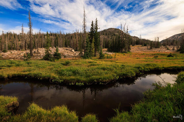 Cutler's Cove