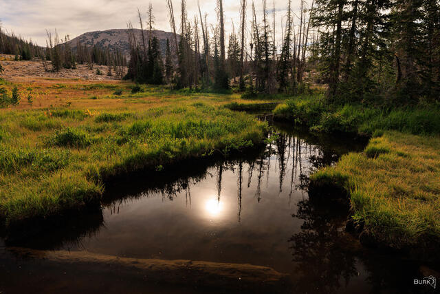A pond in the Uinta Mountains of Utah.