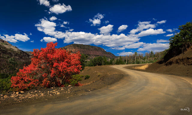 Grandview Trailhead Road Ashley National Forest. 