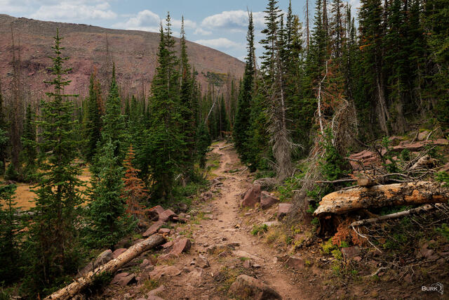 Backcountry Silence