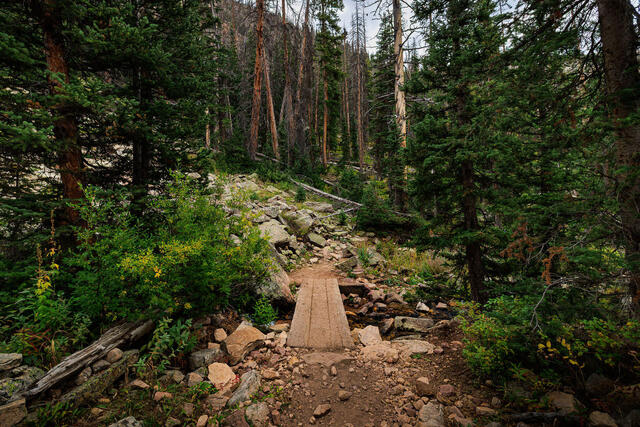 Trails & Pathways