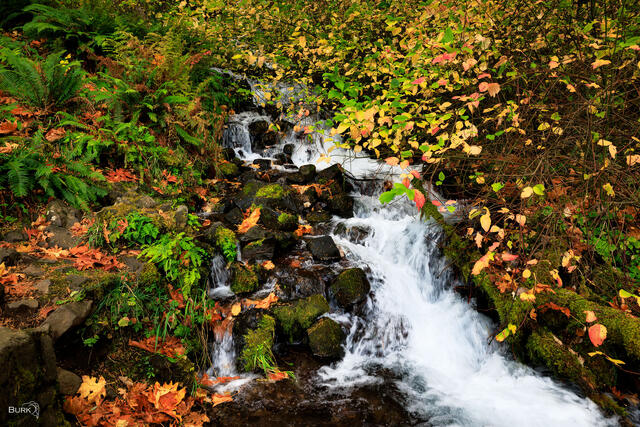 Columbia River Gorge, Washington