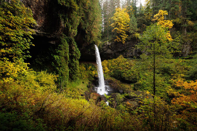 Waterfalls
