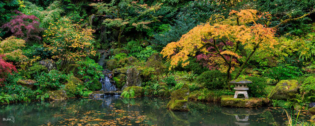 Portland Japanese Garden Heavenly Falls Location