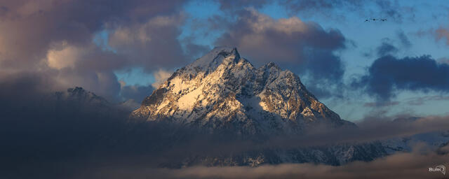 Majestic Mount Moran
