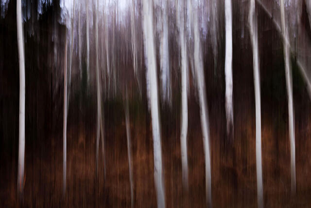 Abstract & Nature Details