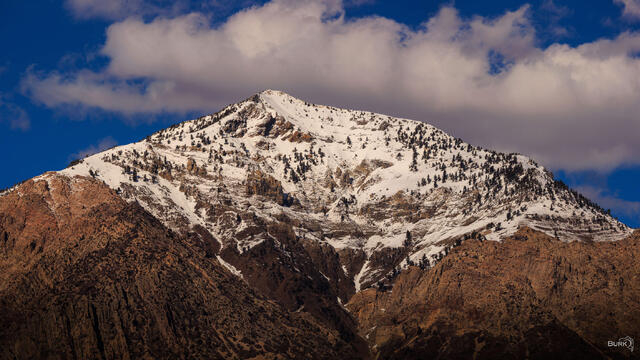 Ben Lomond Peak