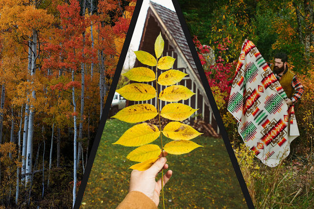 Autumn