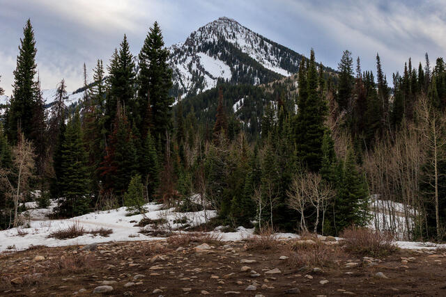 Big Cottonwood Canyon