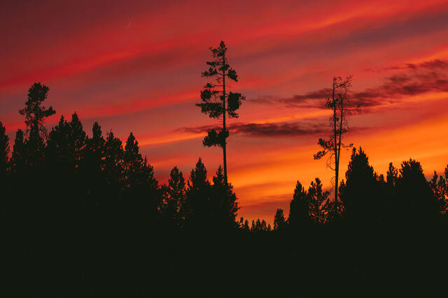 Sunrise and Sunset