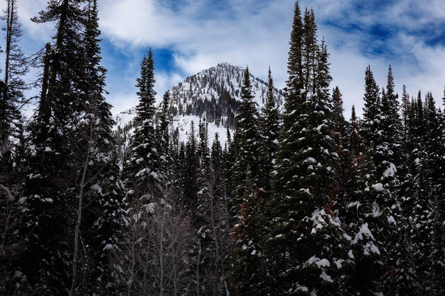 Utah