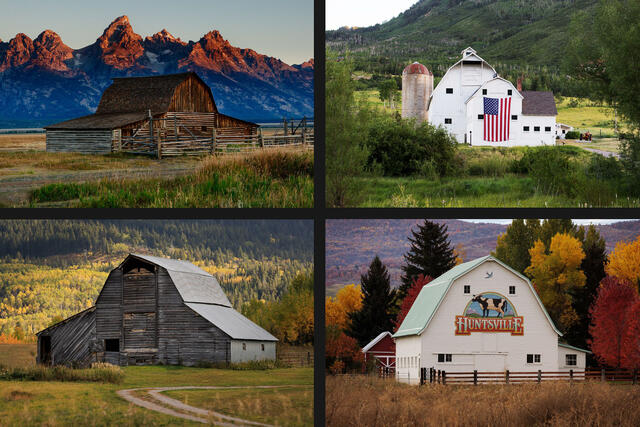 Barns