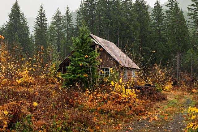 Cabins and Cottages