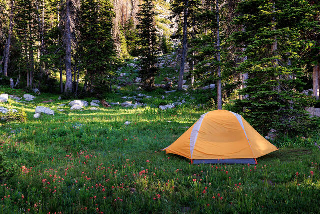 Camp