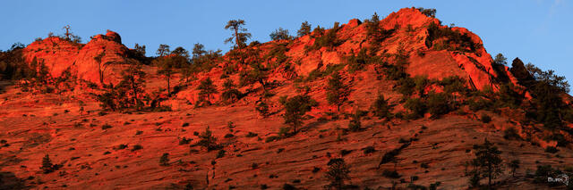 Red Rock Alpenglow