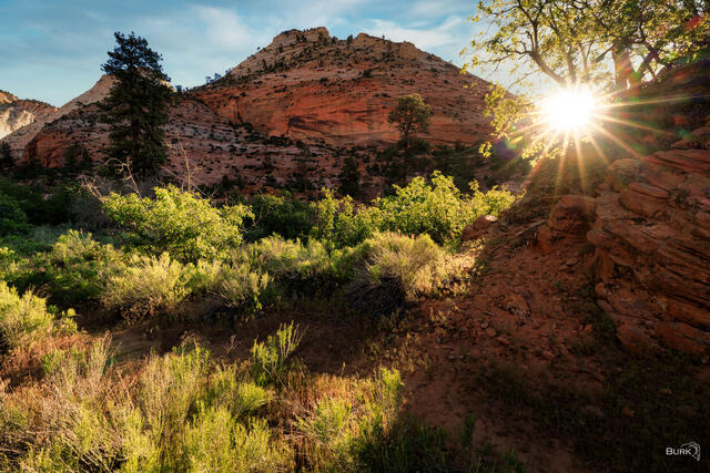 Sunrise at Zion National Park in Utah