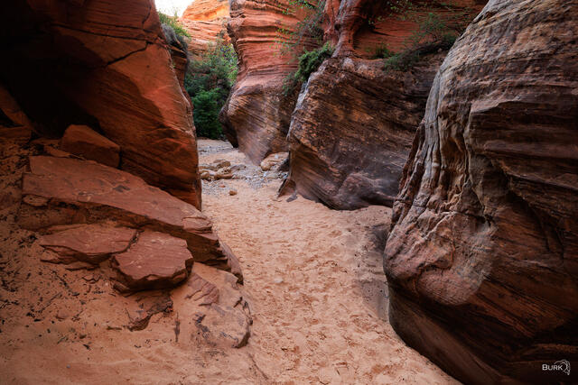 Pine Creek Gorge Slot Canyon in Zion National Park