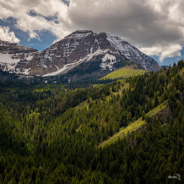 The view of Mount Timpanogos from Pine Hollow Trail in the American Fork Canyon of Utah 