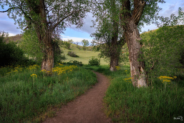 Snowbasin Resort during the spring season.