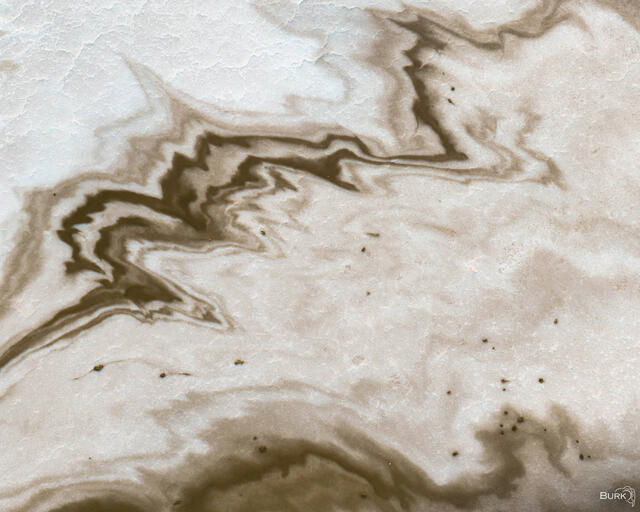 Saltwater Calligraphy