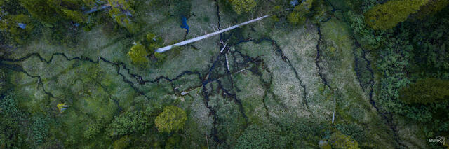 Uinta-Wasatch-Cache National Forest aerial view of wetland area.