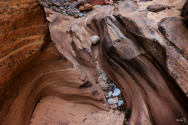 Pine Creek Canyon Zion National Park