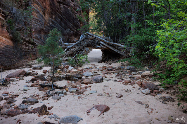 The Troll’s Portal