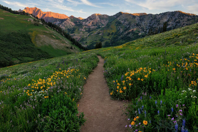 Alta Ski Area