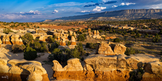 Devil's Garden in Escalante, Utah.