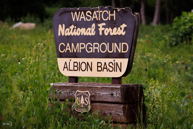 Wasatch National Forest Albion Basin Sign