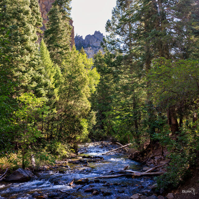 American Fork River