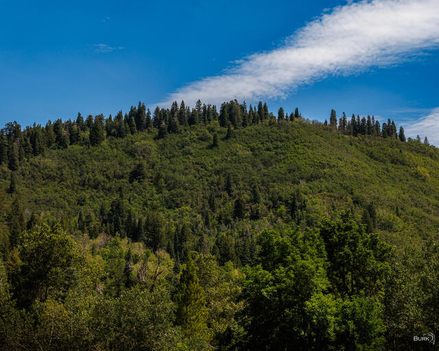 High Country Green