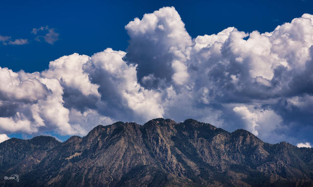 Wildcat Ridge beneath towering white summer clouds and a deep blue sky in the Wasatch Mountains near Salt Lake City, Utah.