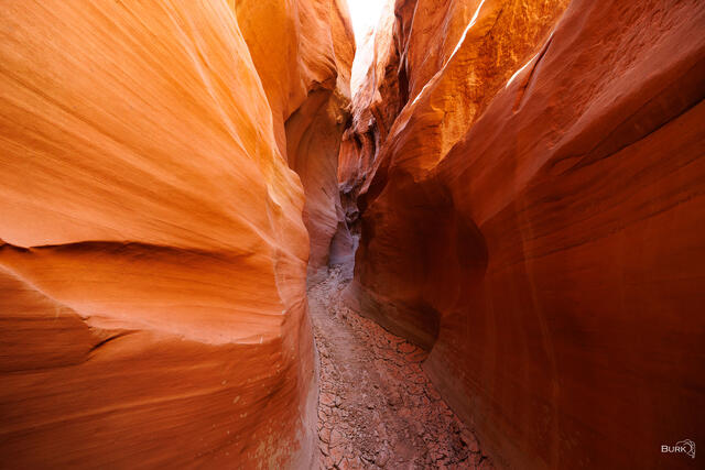 Dry Fork Narrows of Escalante Utah.