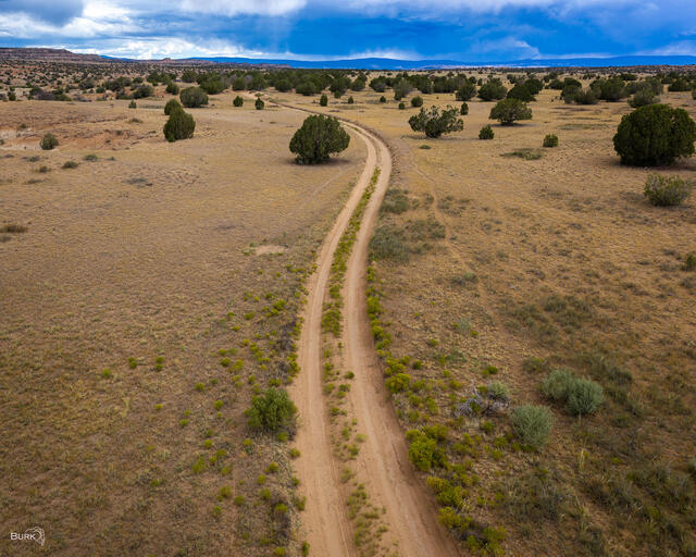 Dirt road in Escalante, Utah.