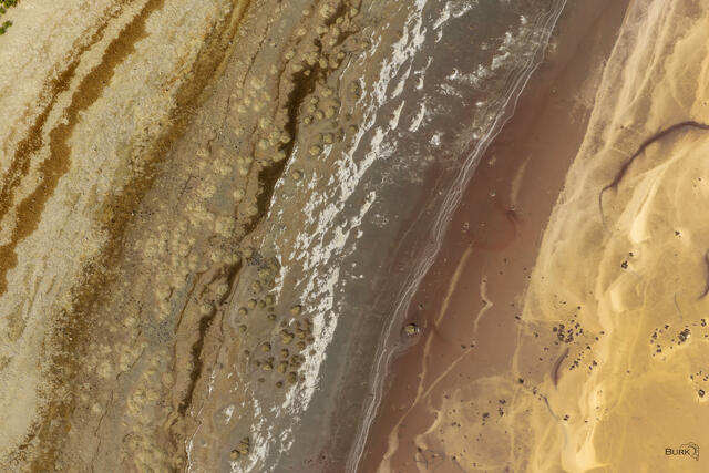 Aerial photo of the Great Salt Lake showing exposed shoreline, mineral deposits, shallow water, and abstract patterns in gold, brown, and gray.