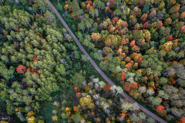 An aerial view of Maples Trail at Snowbasin Resort during autumn season.