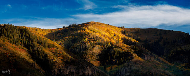 Mountains of Provo