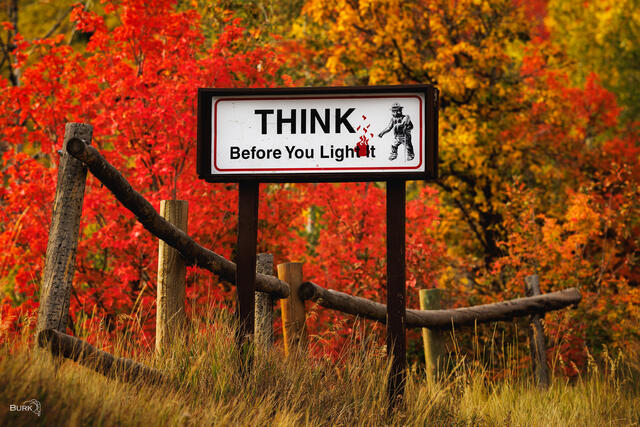 Smoky Bear sign that reads "Think Before You Light It". 