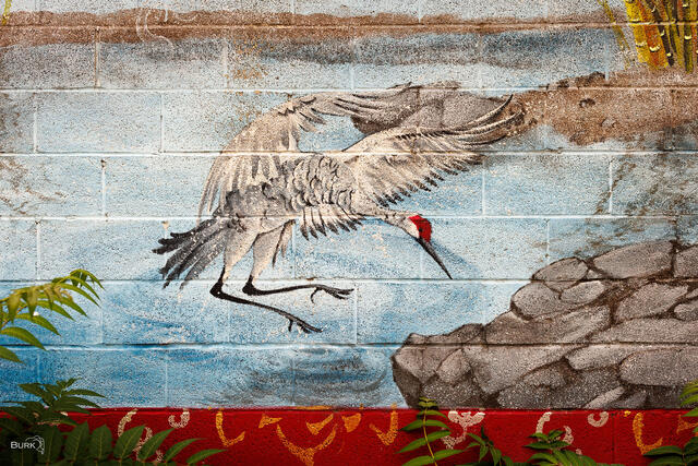 Wall art mural of a sandhill crane in flight, painted in downtown Salt Lake City, Utah.
