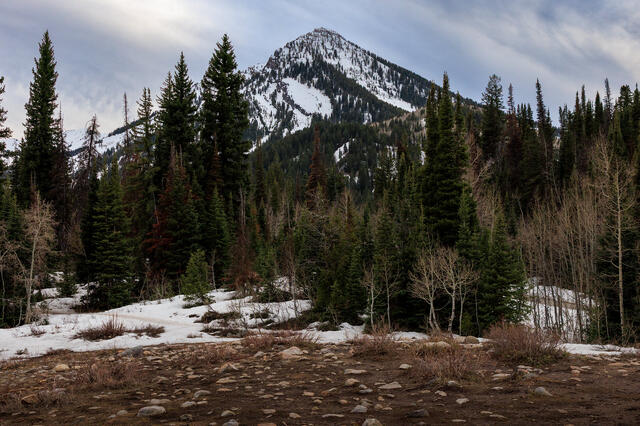 Big Cottonwood Canyon