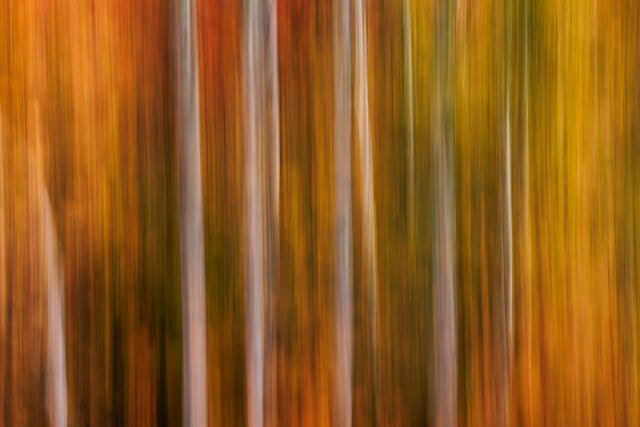 Intentional Camera Movement